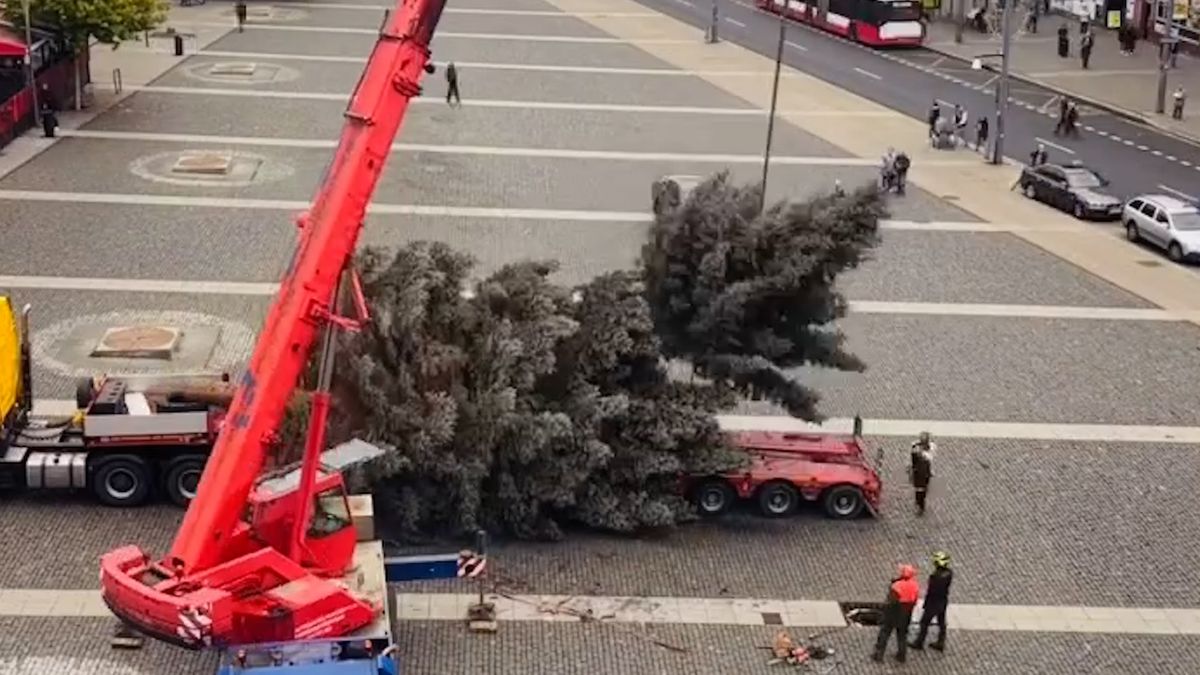 Vánočnímu stromu v Ústí se při instalaci ulomila špička